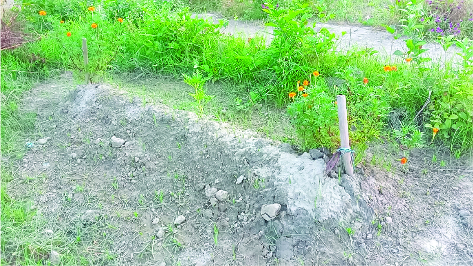 Image of মো: সজল
